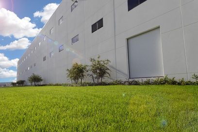 building-grass